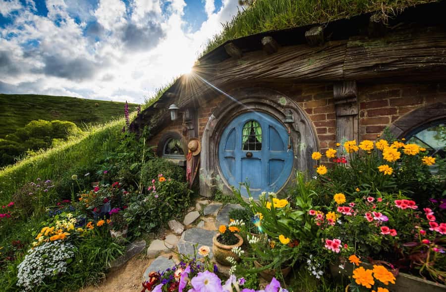 From Auckland: Hobbiton Movie Set Small Group Tour - Key things to know before you go
