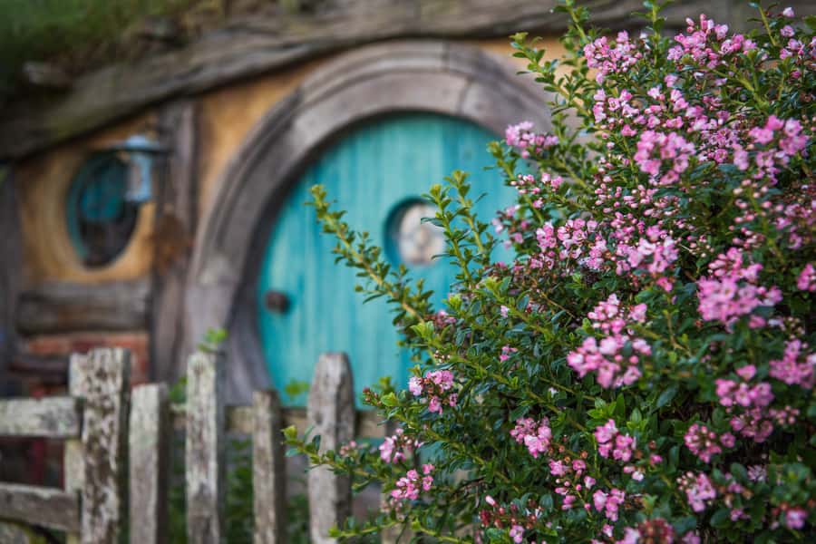 From Auckland: Hobbiton Movie Set Trip with Guided Tour - Practical tips so your day feels smooth