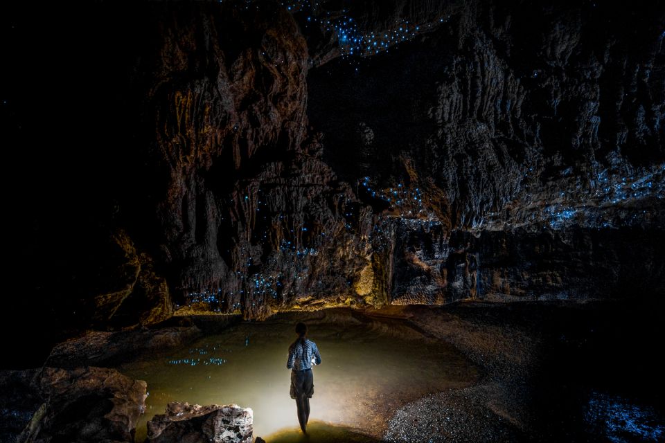 From Auckland or Rotorua: Hobbiton & Waitomo Tour with Lunch - Waitomo Glowworm Caves: What the 45-Minute Tour Feels Like Underground