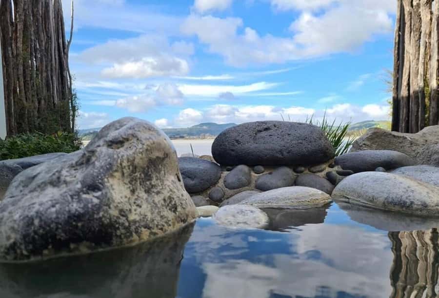 From Auckland: Rotorua Māori Village & Hot Springs with Haka - Exploring the geothermal park after the show: mud pools, geysers, and your pace