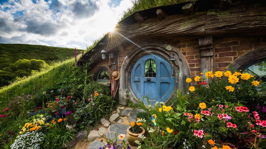 From: Auckland: Rotorua via Hobbiton Tour One Way Tour - Alexander family sheep farm and Shire’s Rest: your Hobbiton setup point