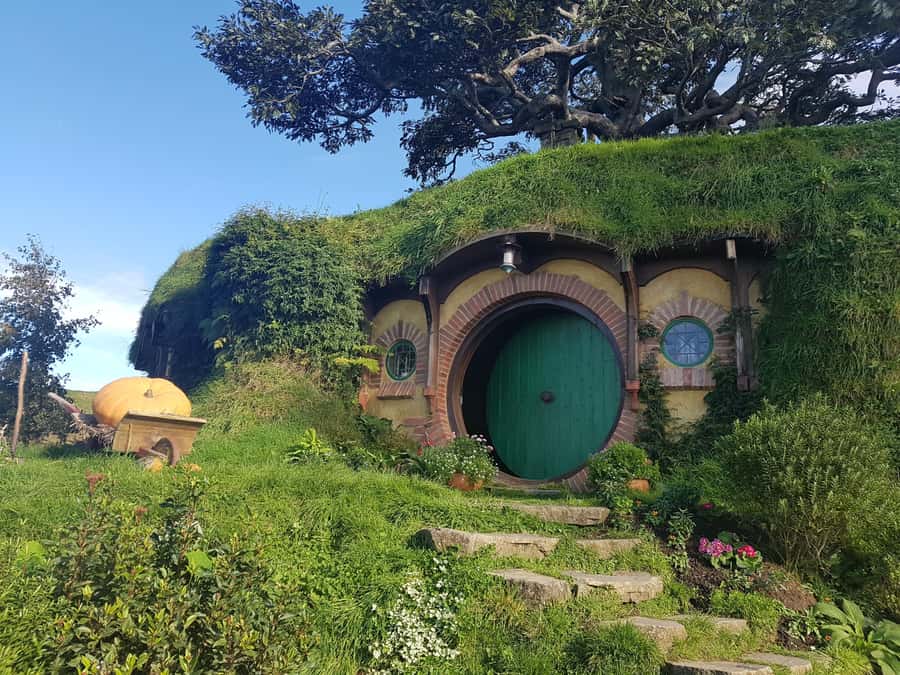 From Auckland: Two-Day Hobbiton, Rotorua, Waitomo Caves Tour - Key things I’d plan around