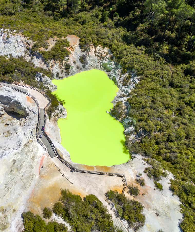 From Auckland: Wai-O-Tapu & Polynesian Spa Rotorua Day Tour - Price and value: is $221 per person a good deal?