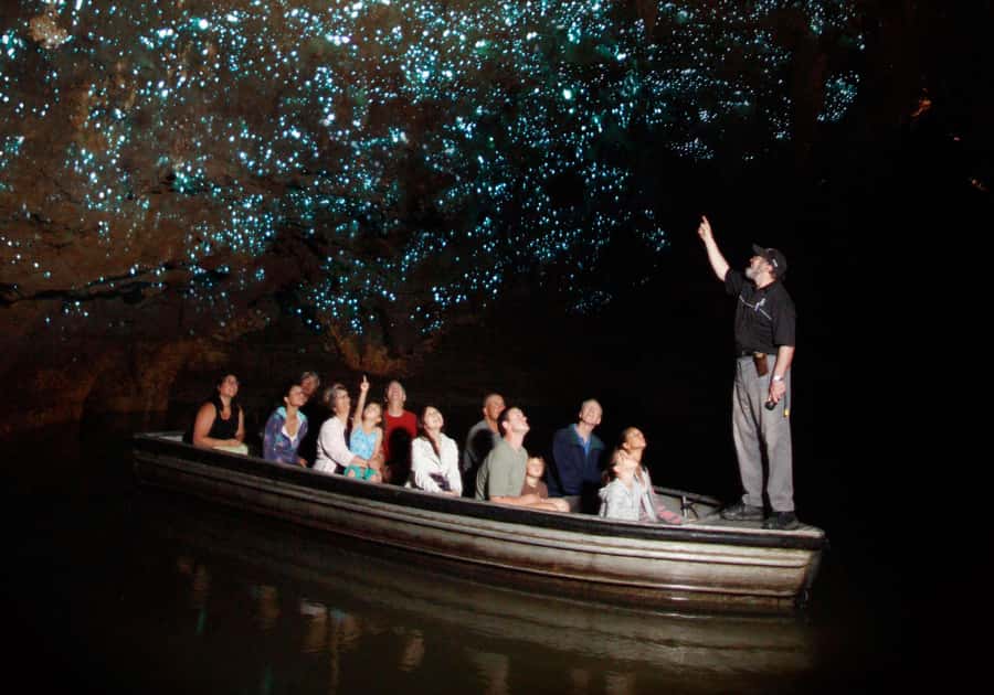 From Auckland: Waitomo Caves and Kiwi House Group Tour - Comfort, safety, and what to pack for a smooth day