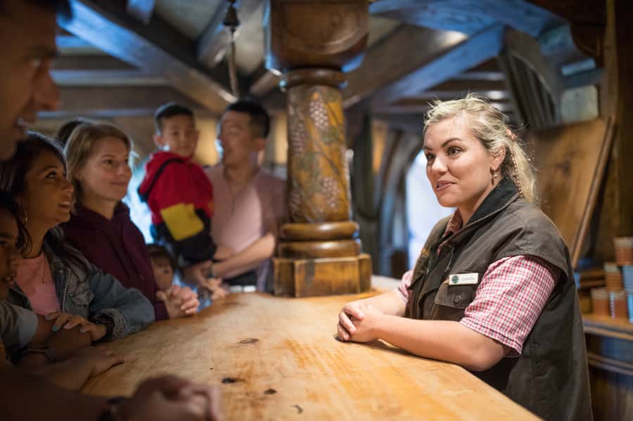 From Auckland: Waitomo & Hobbiton Bus Tour with Lunch - Premium Coach Comfort: Wi‑Fi, Air Conditioning, and Long Drive Reality