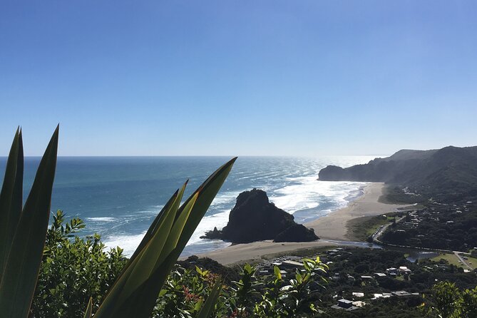 Full Day Ebike Tour in Karangahake Gorge (ex Auckland) - Price and Value: Is $183.07 Worth It?