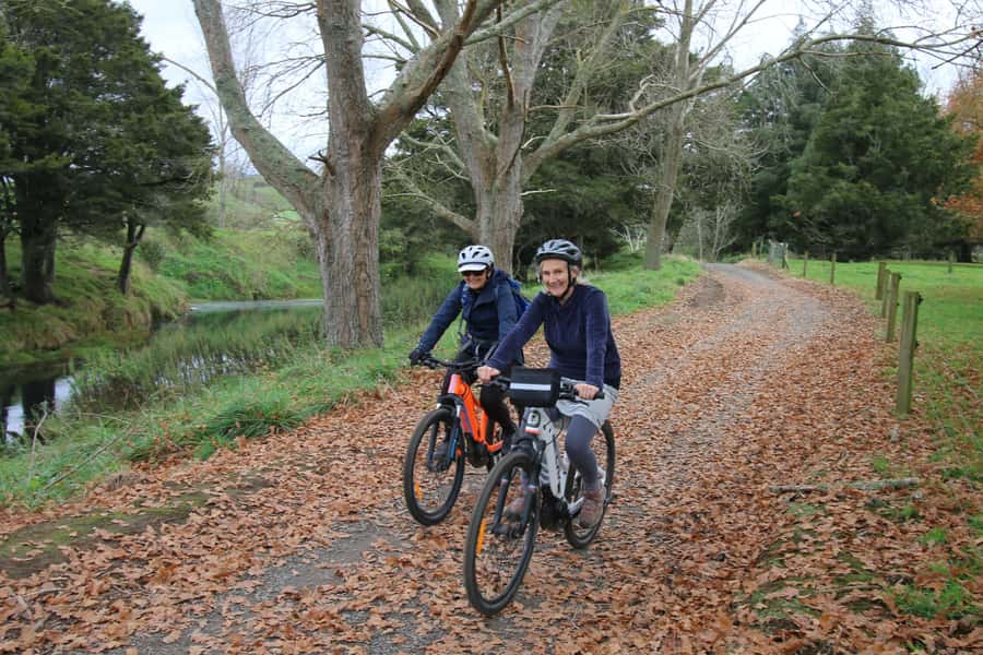 Full Day Ebike Tour - Karangahake Gorge NZ - Morning ride: Waikino to Waihi and the “gold corridor” feeling