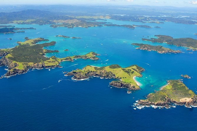Group tour to Bay of Islands return from Auckland - Getting To Paihia Without the Headache: Transfers, Timing, and Comfort