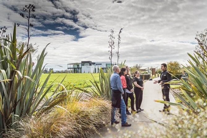 Group tour to Bay of Islands return from Auckland - Should You Book This Bay of Islands Day Trip?