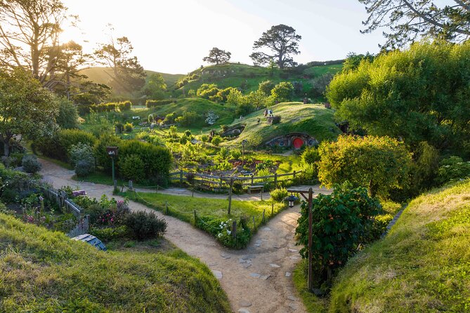 Hobbiton & Waitomo Caves Guided Day Trip from Auckland incl lunch - Hobbiton Movie Set: sheep-farm views and Middle-earth details