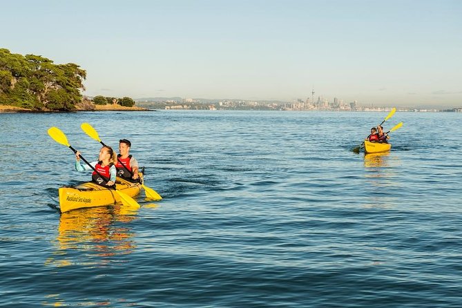Motukorea / Browns Island Sea Kayak Journey - Key things to know before you go
