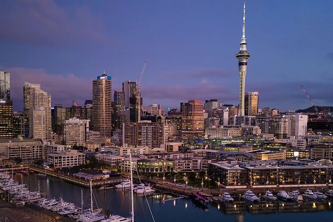 Private Auckland Airport Transfer to/from Auckland Hotels - Van - Comfort details that affect your first hour in Auckland