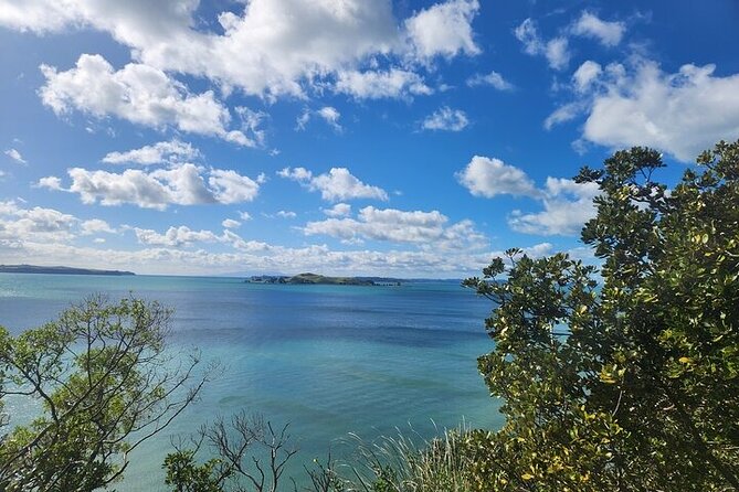 Private Auckland Best Top 5 Spots Half day Tour - Mt Eden Crater Walk: The View That Makes Auckland Click