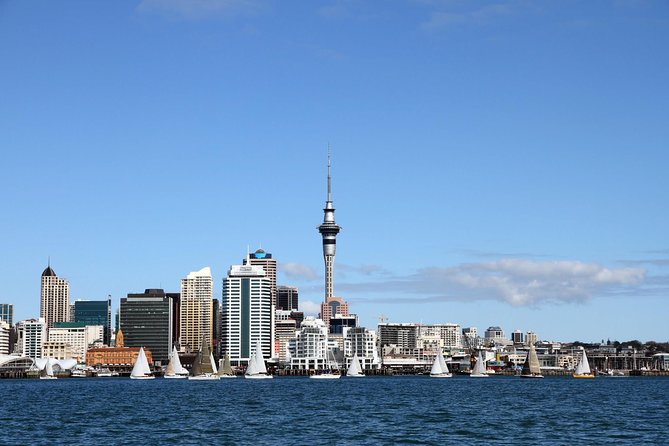 Private Auckland City Tour For Small Group in a luxury vehicle. - Key Things That Make This Auckland Tour Worth Your Time