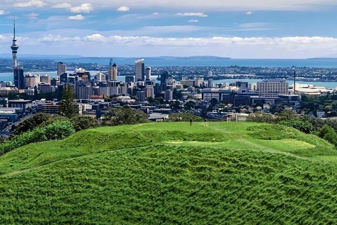 Private Auckland City Tour For Small Group in a luxury vehicle. - Should You Book This Auckland City Tour?