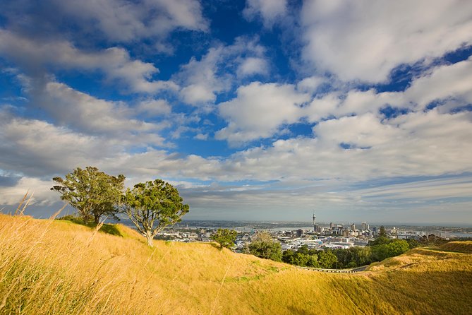 Private Auckland Half Day Tour - Sky Tower pickup and the Mercedes comfort factor