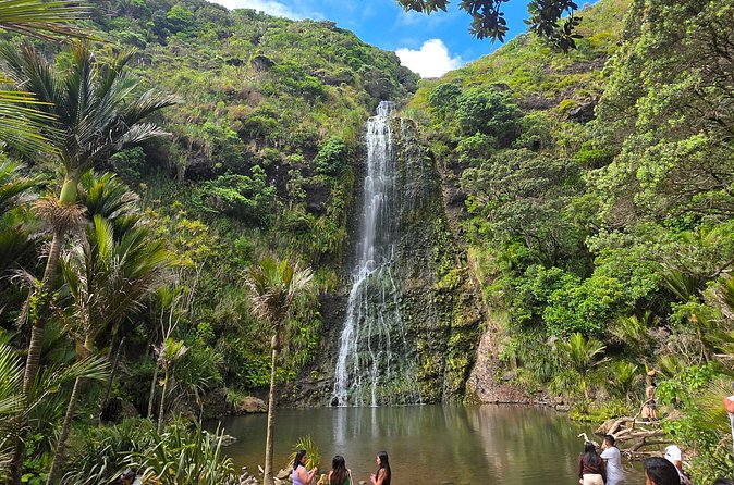 Private Auckland West Coast Tour Piha Beach and Karekare Falls - What the 4 to 5 hours feels like in real life