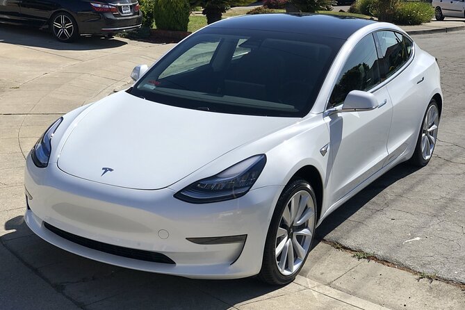 Private Hobbiton, Waitomo Caves, Blue Spring & Hamilton Transfer - Hamilton Waikato Region Stops on the Way Back (Tesla Break Included)