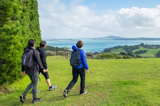 Private Personalised Tour in Waiheke Island - Transfers and timing: the small things that add up