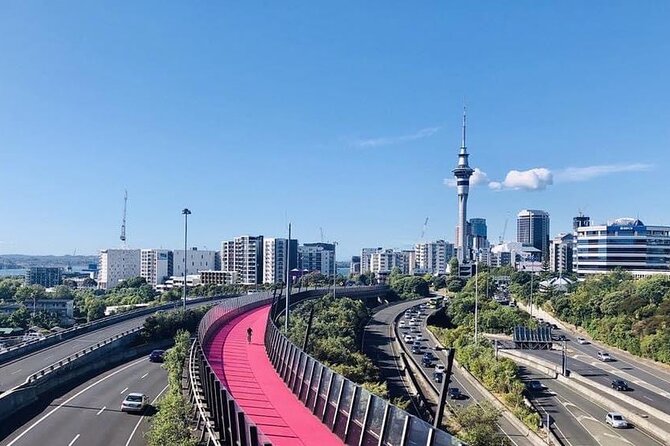 Private Transfer From Auckland International Airport To Auckland City - Key Things I’d Focus on Before You Book