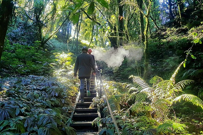 Private Waitomo Glowworm Cave Tours - Who this tour fits (and who should skip it)