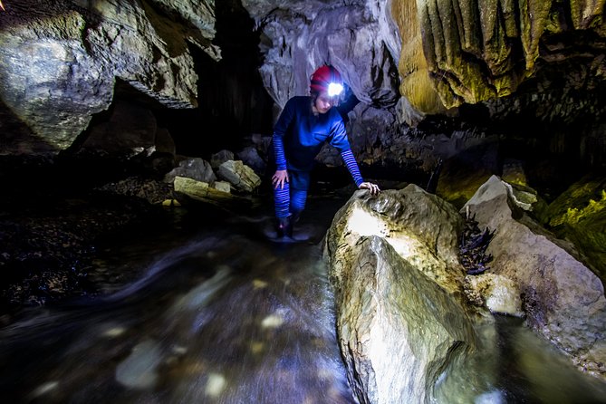 Private Waitomo Glowworm Cave Tours - Price and value: $682.01 per group up to 8