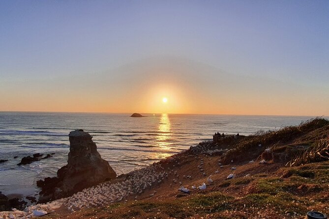 Romantic Auckland Sunset tour with Winery & Thermal pool - Key Highlights Worth Booking For