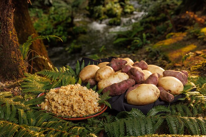 Rotorua Cultural & Geothermal Small Group Tour From Auckland - Who this Rotorua small-group tour is best for