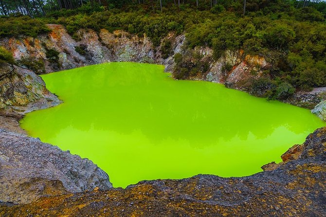 Rotorua Highlights inc. Waiotapu & Te Puia Day Tour from Auckland - Should you book this Rotorua highlights tour from Auckland?