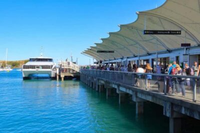 Sea, Land & Sky Premium Package - The Return Ferry: Your Slow Start Toward Waiheke