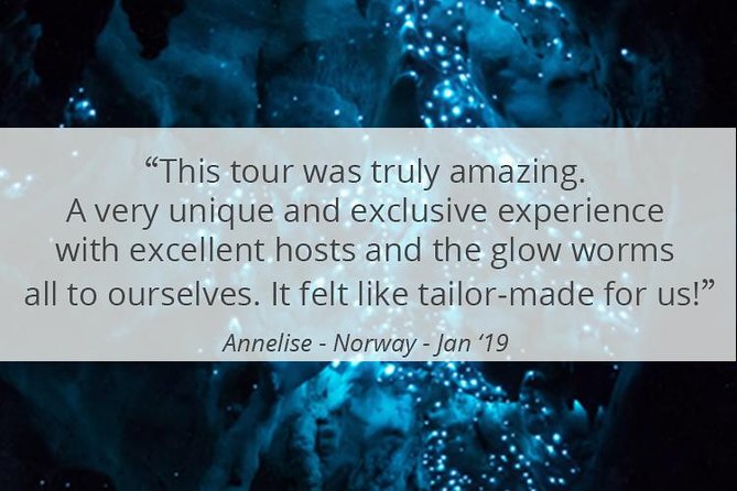 See Auckland's Secret Glow Worms - Private Evening Timing: Start at 8:30 PM and Plan Around Darkness