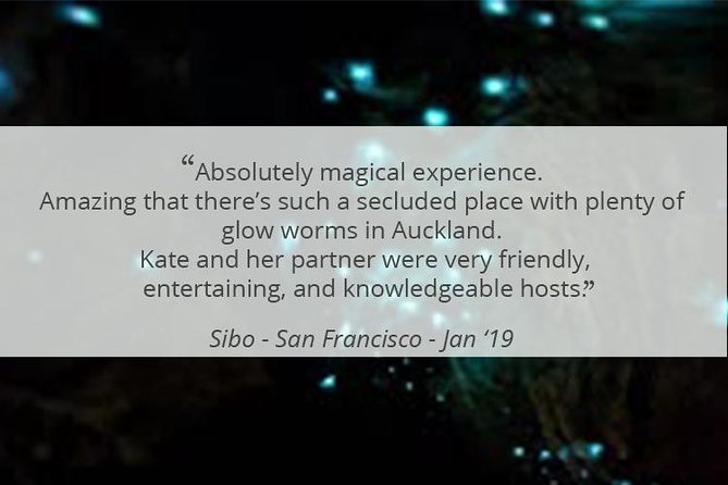 See Auckland's Secret Glow Worms - What You’ll See: Glow Worms, Native Bush Wildlife, and Night Sounds