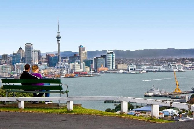 Shore Excursion: Half-Day Auckland Volcanoes Tour - Weather reality: great views depend on the sky