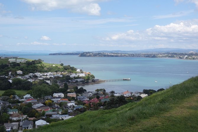 Shore Excursion: Half Day Small Group Auckland Scenic Tour - 4 HOURS - Why This 4-Hour Auckland Plan Works for First-Timers