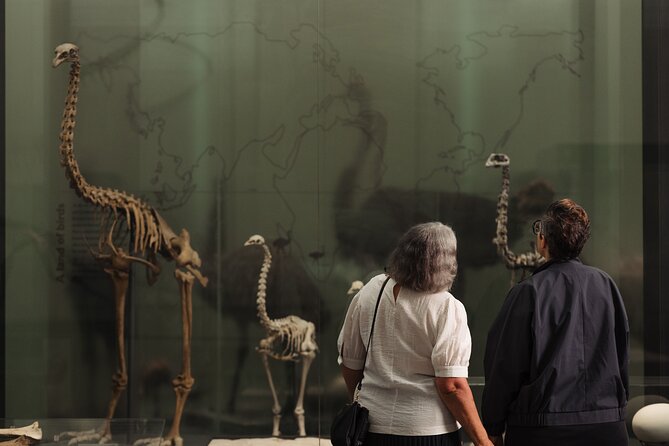Skip the Line: Auckland Museum General Admission Ticket - Add-ons you should plan: guided tours and Māori cultural performance timing