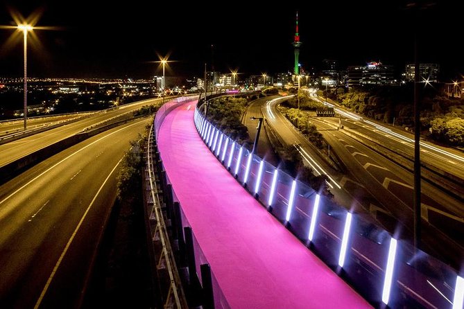 The City Lights: a unique electric bike tour of Auckland by night! - Quick hits before you pedal