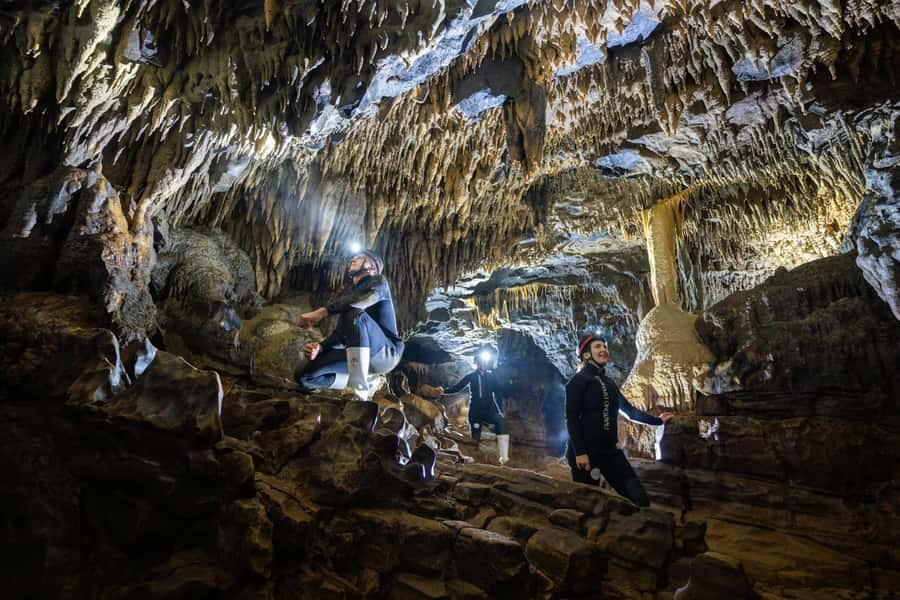 The Waitomo Experience : Okohua Glowworm Cave Tour - Okohua Glowworm Cave: a different flavor of Waitomo