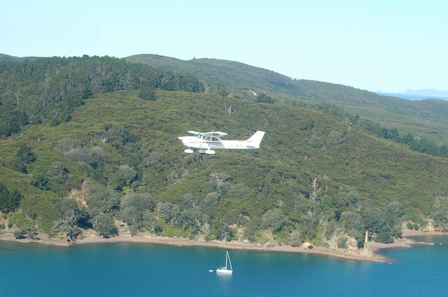 Waiheke Island: 30-Minute Scenic Flight - Price and value: is $118 for 30 minutes worth it?