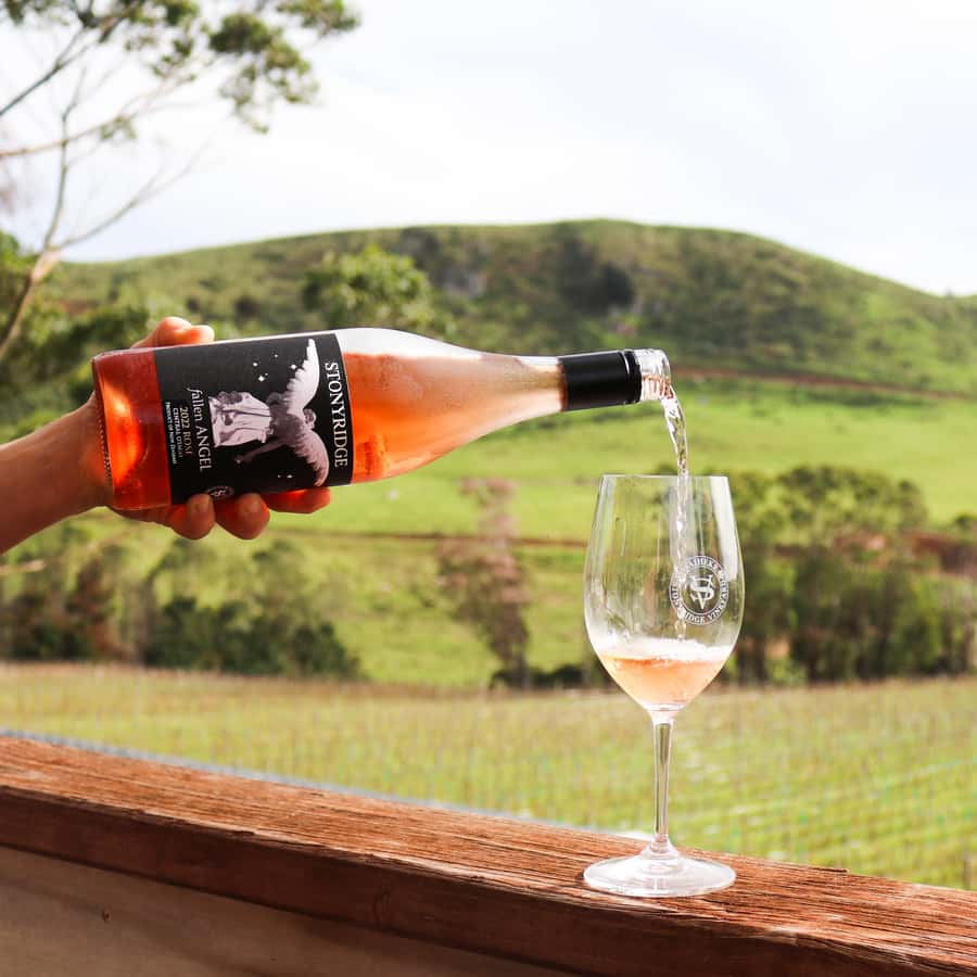 Waiheke Island: Afternoon Wine Tour with Oceanfront Lunch - Quick practical tips before you go