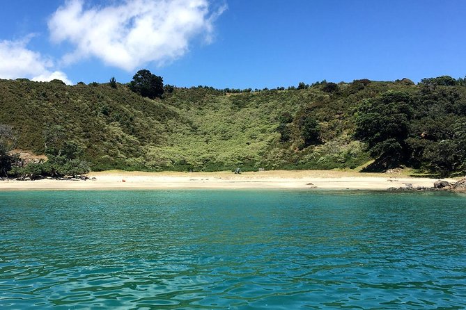 Waiheke Island Bush & Beach Walk - Key things to know before you go