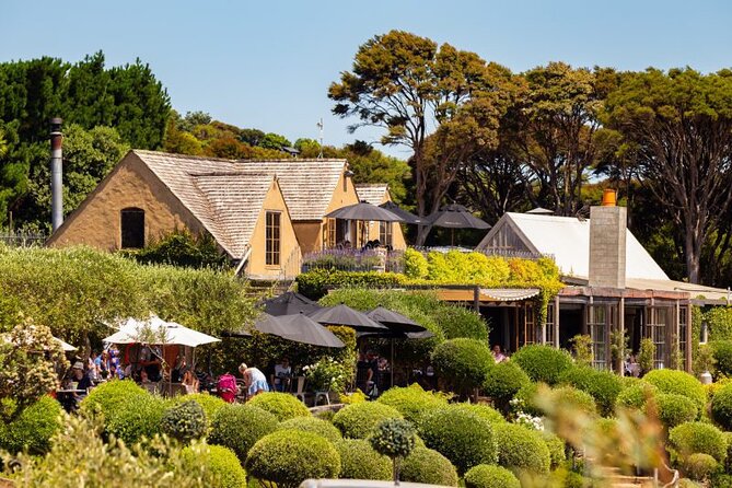 Waiheke Island Day Tour: Ziplining, Wine Tasting & Vineyard Lunch - Waiheke Zipline + Wine as an Auckland day trip