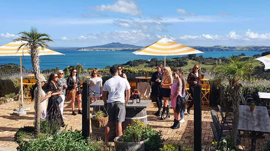 Waiheke Island: Scenic Island Wine Tour & Local Wine Tasting - Key takeaways before you book