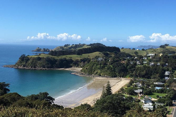 Waiheke island wine tours with Waitiki Tours - Getting oriented fast: why Waiheke feels easier on a small-group wine tour
