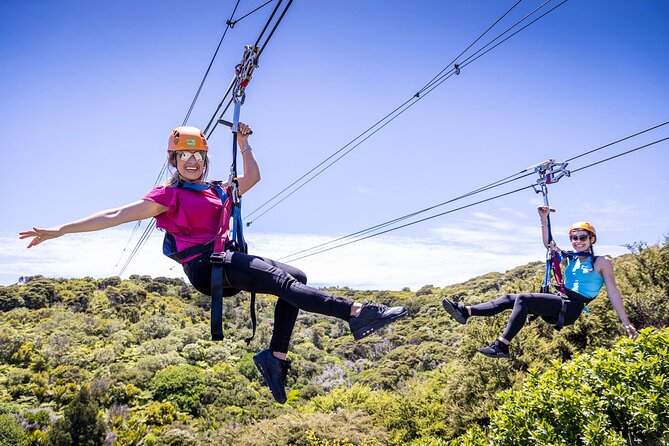 Waiheke Island: Zipline And Forest Walk - Key Things I’d Plan Around