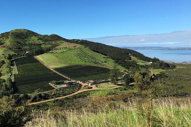 Waiheke Wine and Dine - Batch Winery - Value: Why This Package Usually Beats DIY on a Tight Schedule