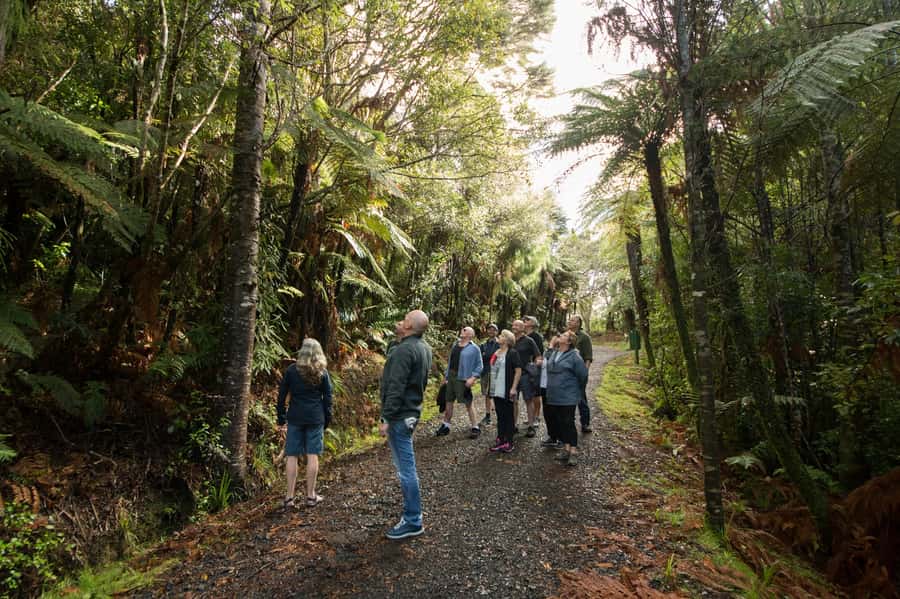 Waitakere Ranges Wilderness Experience Tour from Auckland - Arataki Visitor Centre and West-Coast Stops: Views That Set the Context