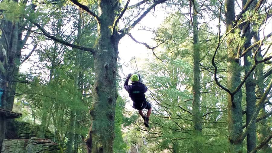 Waitomo Caves 1-Kilometer-Long Zipline Tour - Harness up and learn the system: safety that feels real