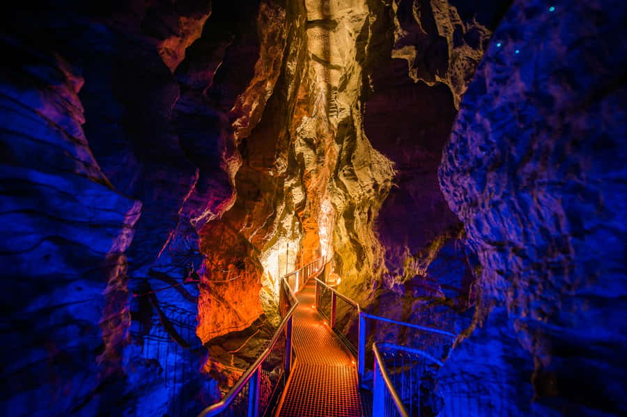 Waitomo Caves: Ruakuri Glowworm Cave Guided Walking Tour - Pair It With the Free Ruakuri Bush Walk for a Broader Picture