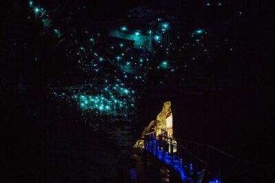 Waitomo Glow Worm Caves - The 1-Hour Glowworm Cave Tour: What You’ll See and How to Enjoy It