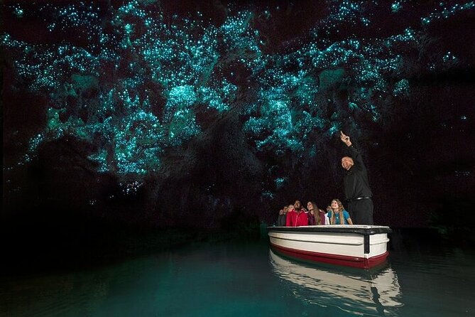 Waitomo Glow Worm Caves & Te Puia (Rotorua) Private Tour - The real trade-offs: long day pace and limited site time